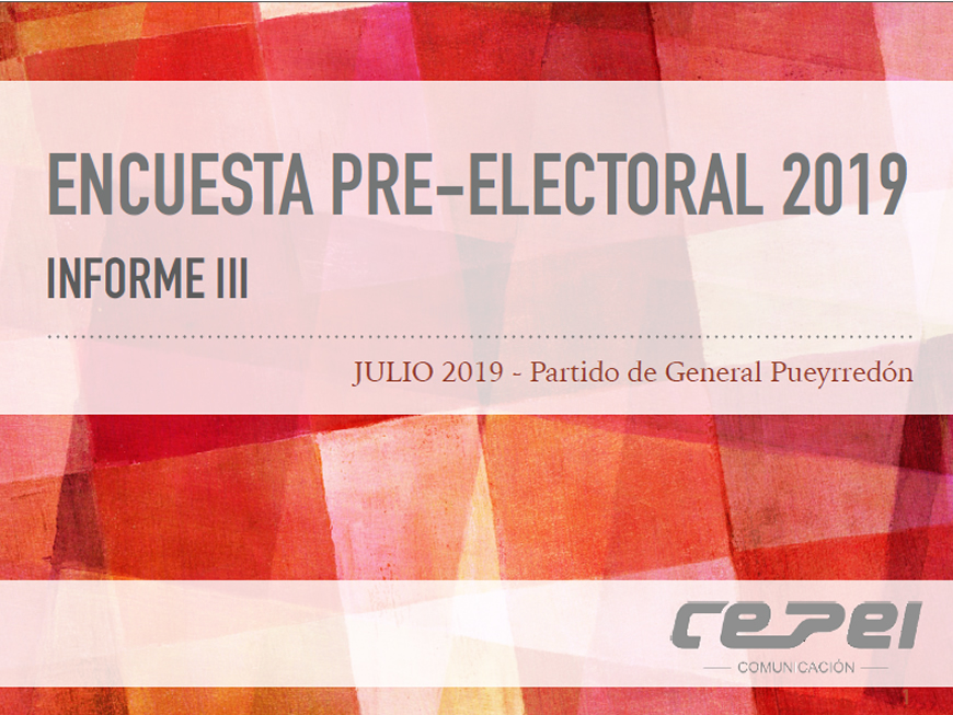 Info III Relevamiento Político CEPEI - julio 2019.pdf